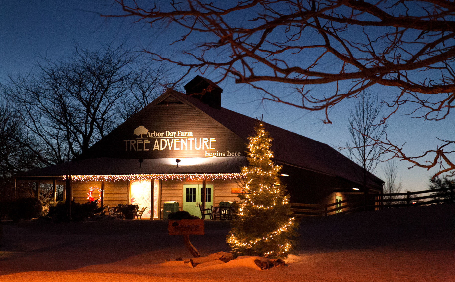 Christmas lights at the Arbor Farm Tree Adventure in Nebraska City.
